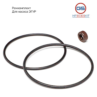 HP30301KIT Ремкомплект насоса ЭГУР Peugeot 307 2000-