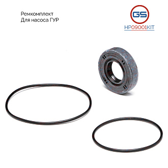 HP09001KIT Ремкомплект насоса ГУР Chery Fora 2006-, Chery EASTAR 2003-