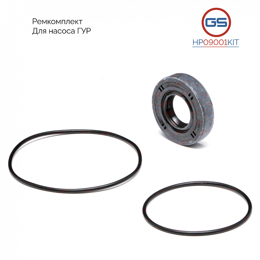 HP09001KIT Ремкомплект насоса ГУР Chery Fora 2006-, Chery EASTAR 2003-