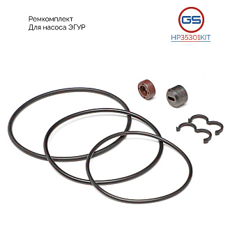 HP35301KIT Ремкомплект насоса ЭГУР Seat Ibiza III 2002-2009, Renault Clio III 2005-2014, Peugeot 407